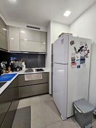 Hallmark Residences (D10), Condominium #568099791